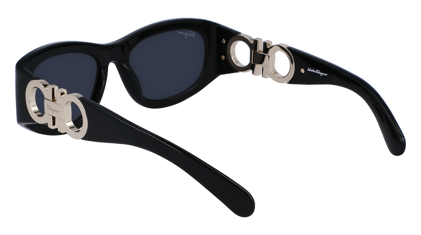 FERRAGAMO Sunglasses SF1082S 1 53