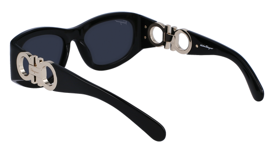 FERRAGAMO Sunglasses SF1082S 1 53