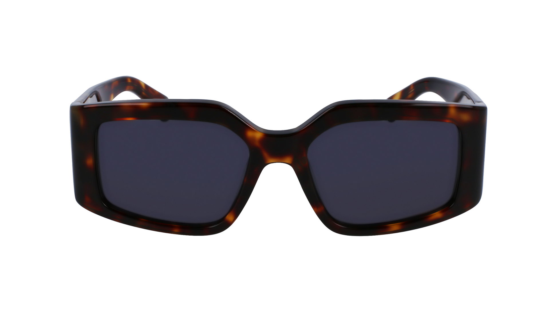 FERRAGAMO Sunglasses SF1101S 242 54