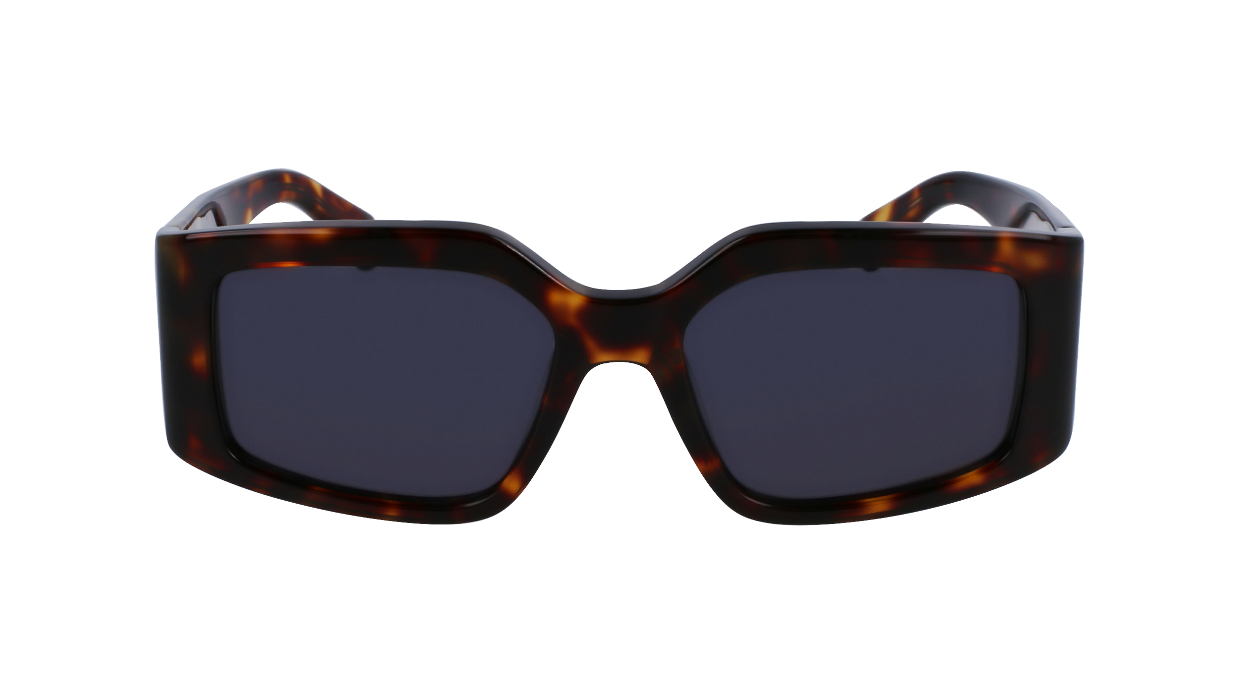 FERRAGAMO Sunglasses SF1101S 242 54