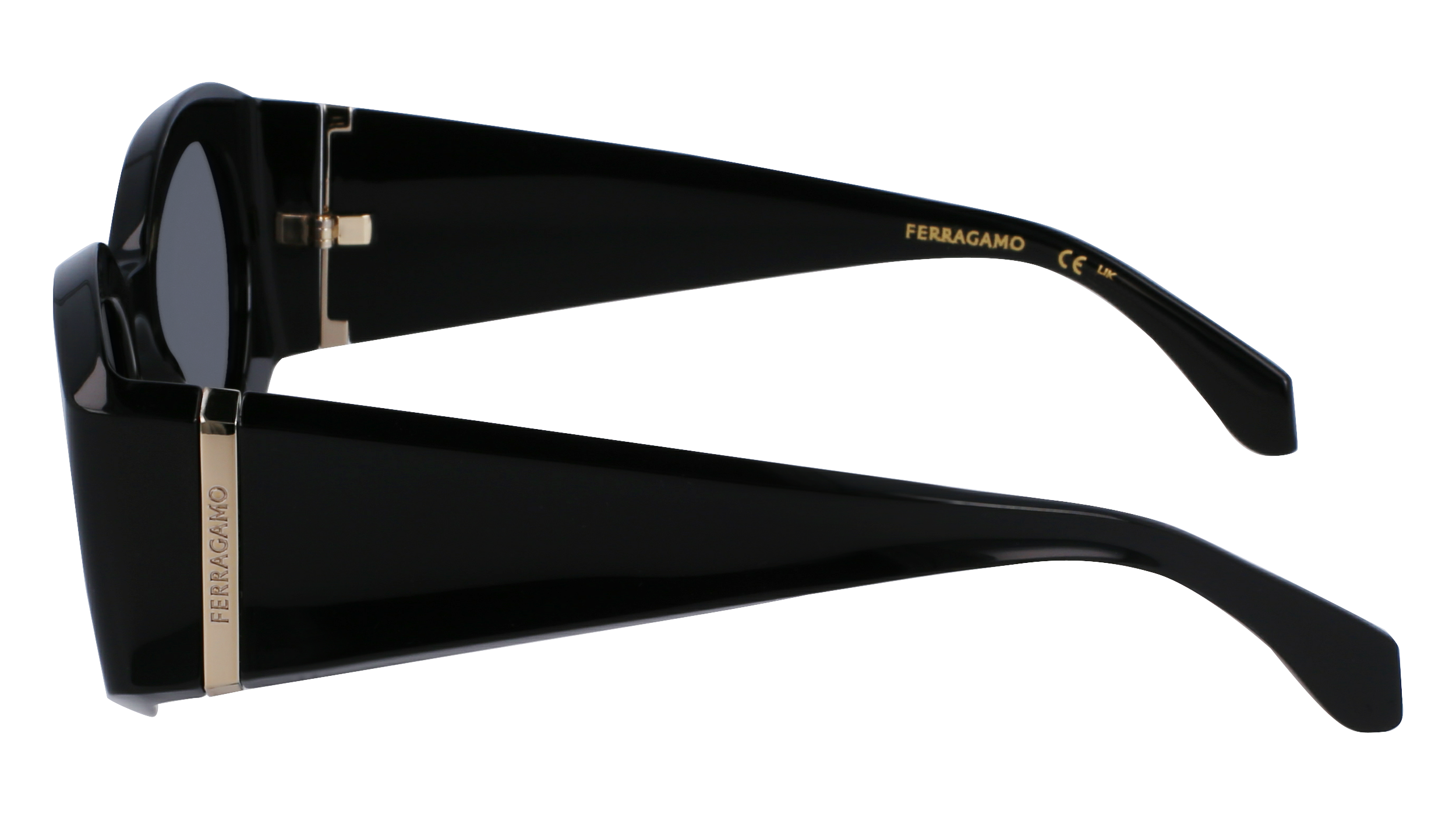 FERRAGAMO Sunglasses SF2008S 1 55