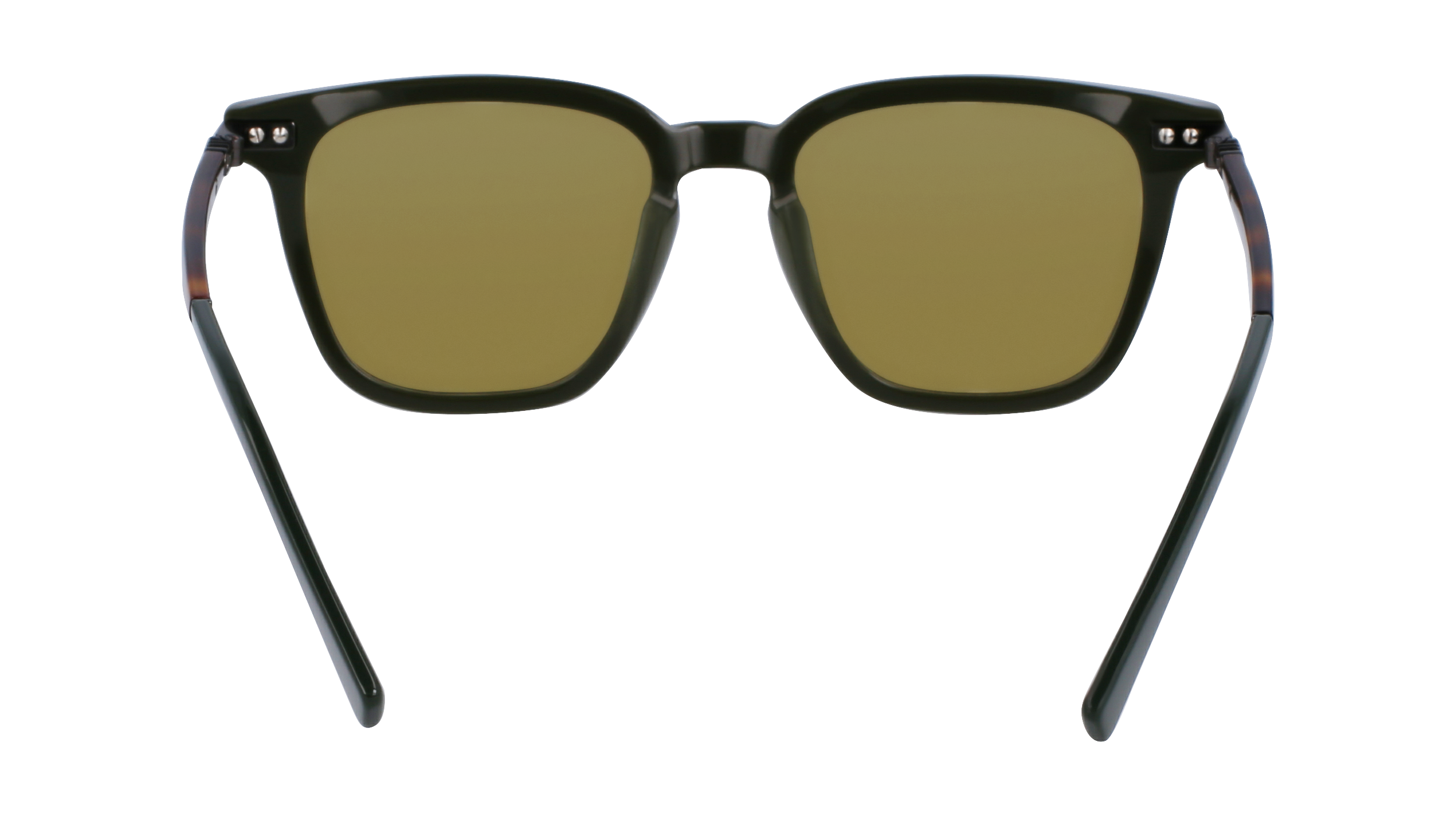 FERRAGAMO Sunglasses SF1100S 302 52