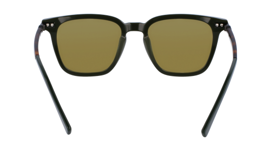 FERRAGAMO Sunglasses SF1100S 302 52