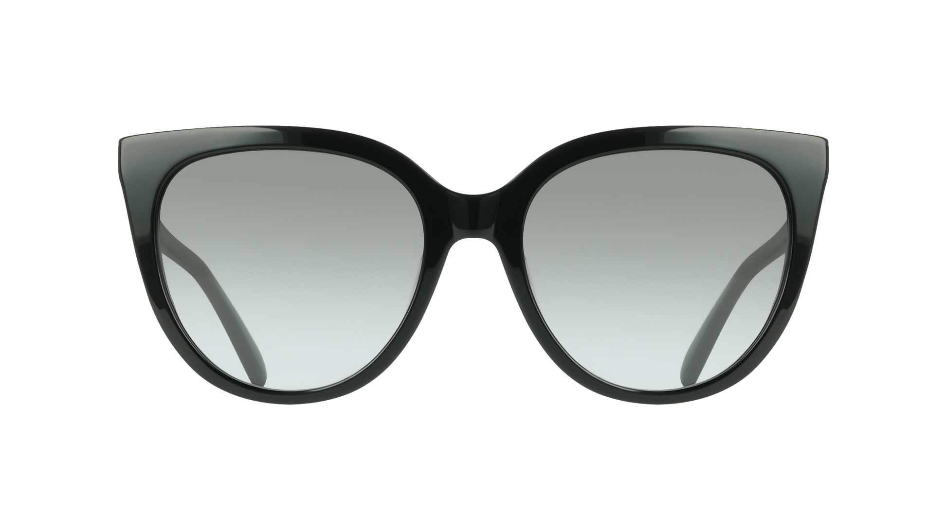 Ferragamo SF2101S 1