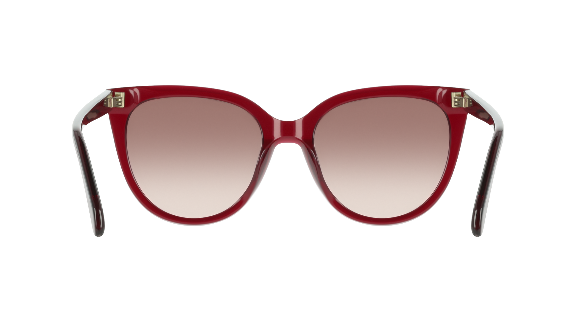Ferragamo SF2101S 655