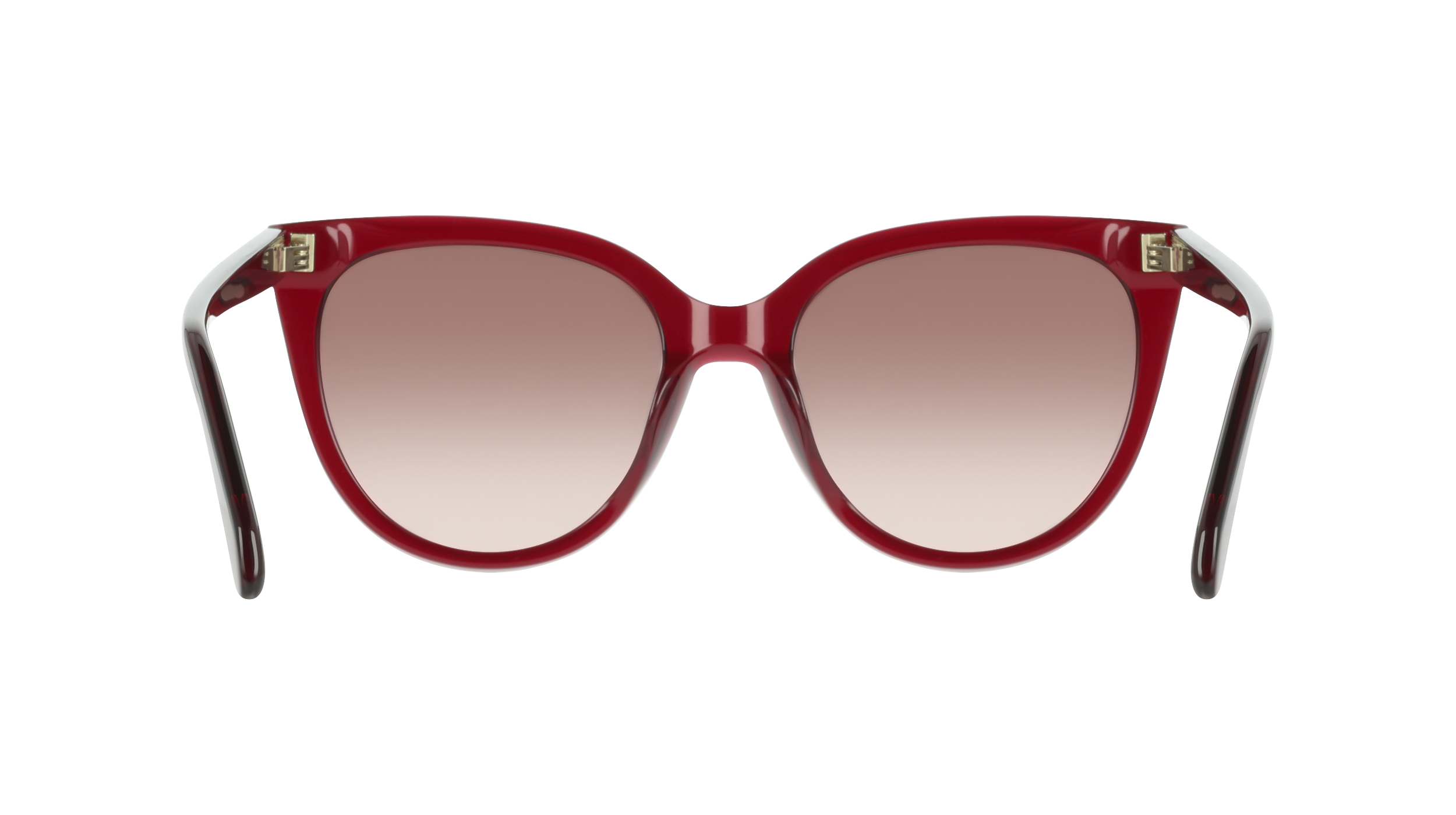 Ferragamo SF2101S 655