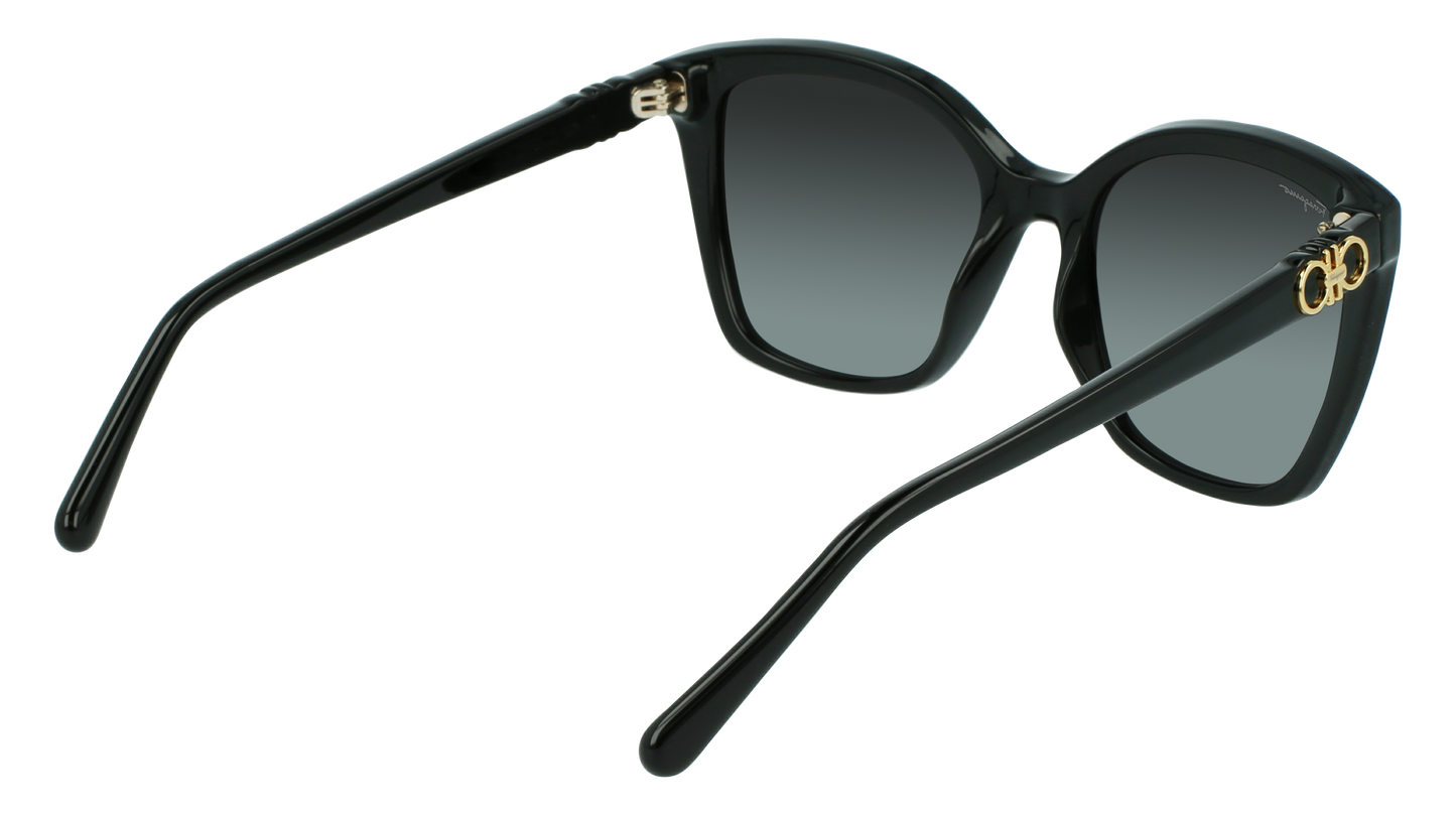 FERRAGAMO Sunglasses SF1026S 1 54