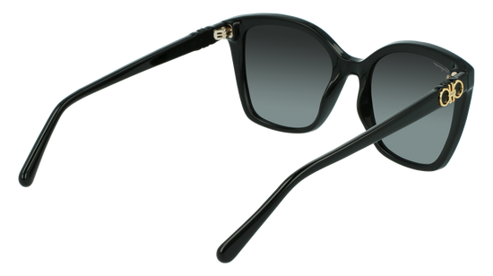 FERRAGAMO Sunglasses SF1026S 1 54