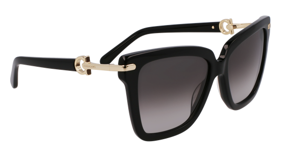 FERRAGAMO Sunglasses SF1085SN 11 57