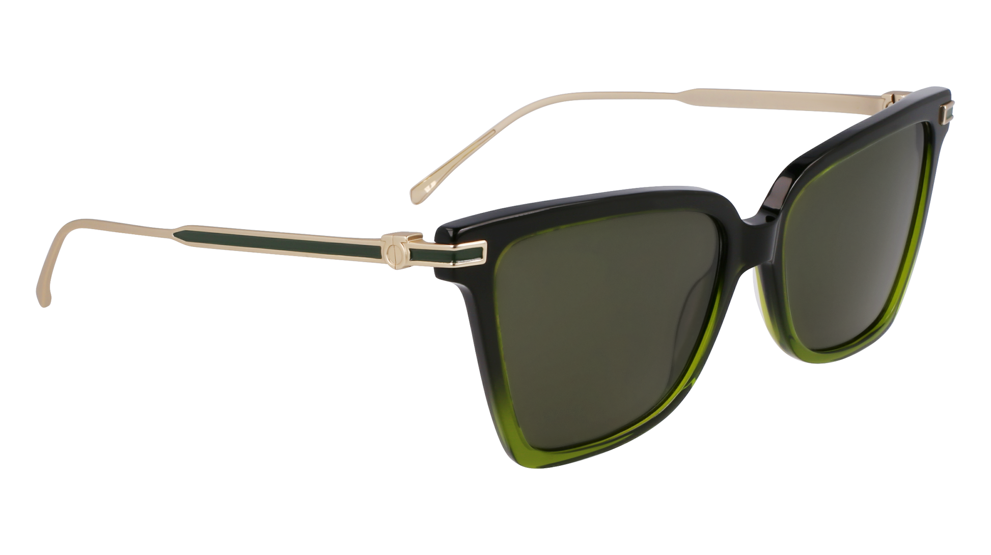 Ferragamo SF2036S 316 - Gradient transparent dark gree Sunglasses