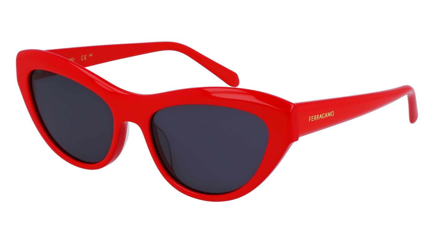 FERRAGAMO Sunglasses SF1103S 600 55