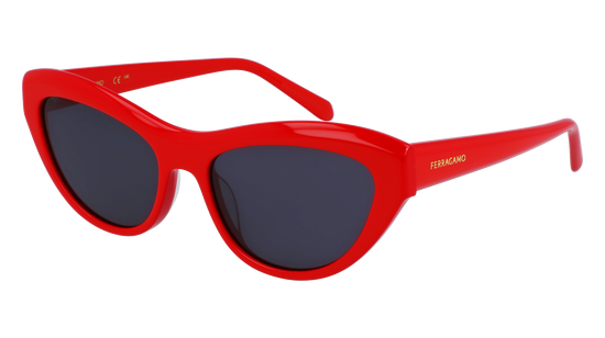 FERRAGAMO Sunglasses SF1103S 600 55