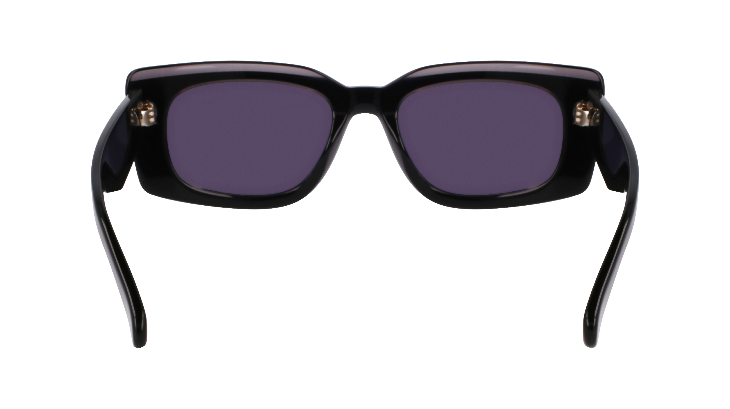 FERRAGAMO Sunglasses SF1079SN 22 54