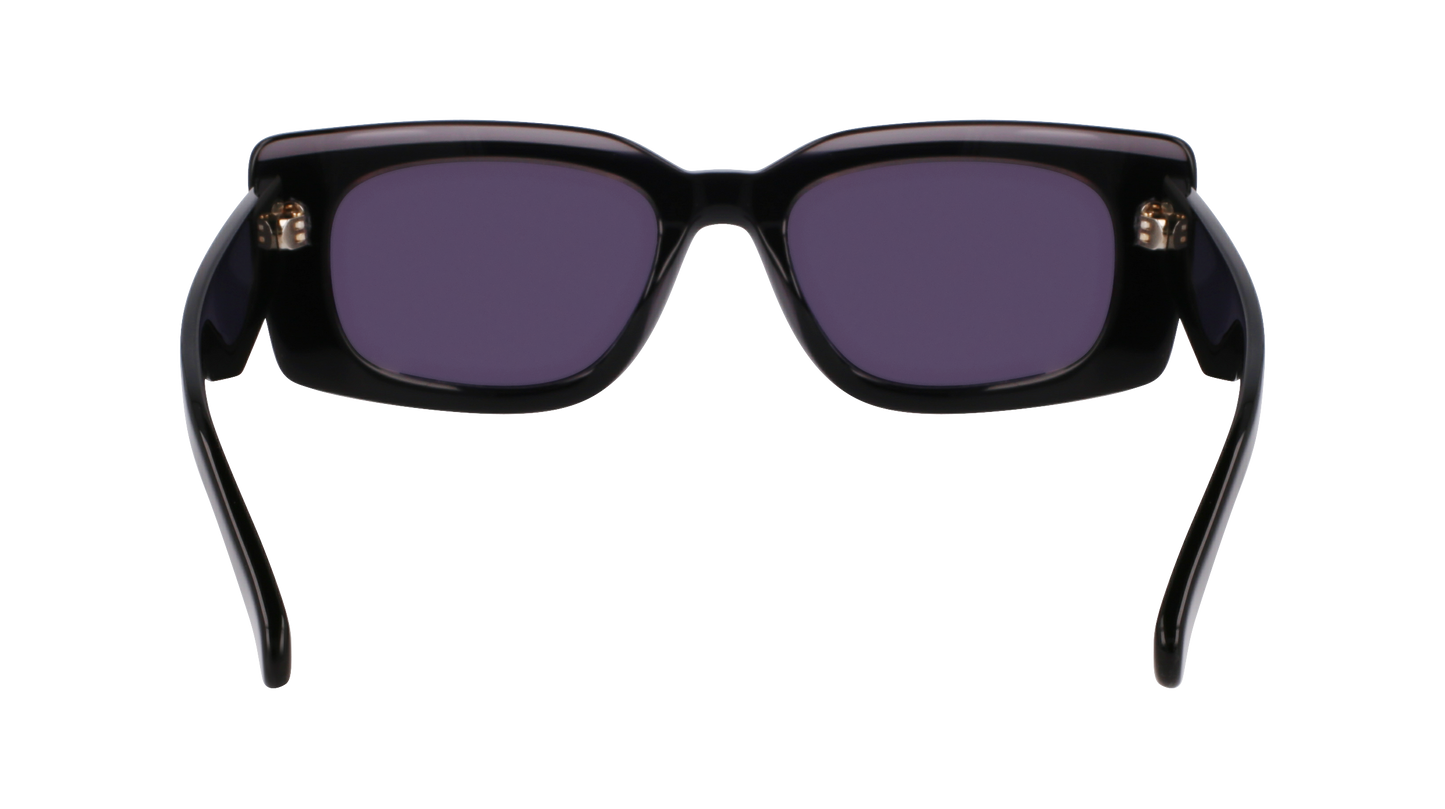 FERRAGAMO Sunglasses SF1079SN 22 54