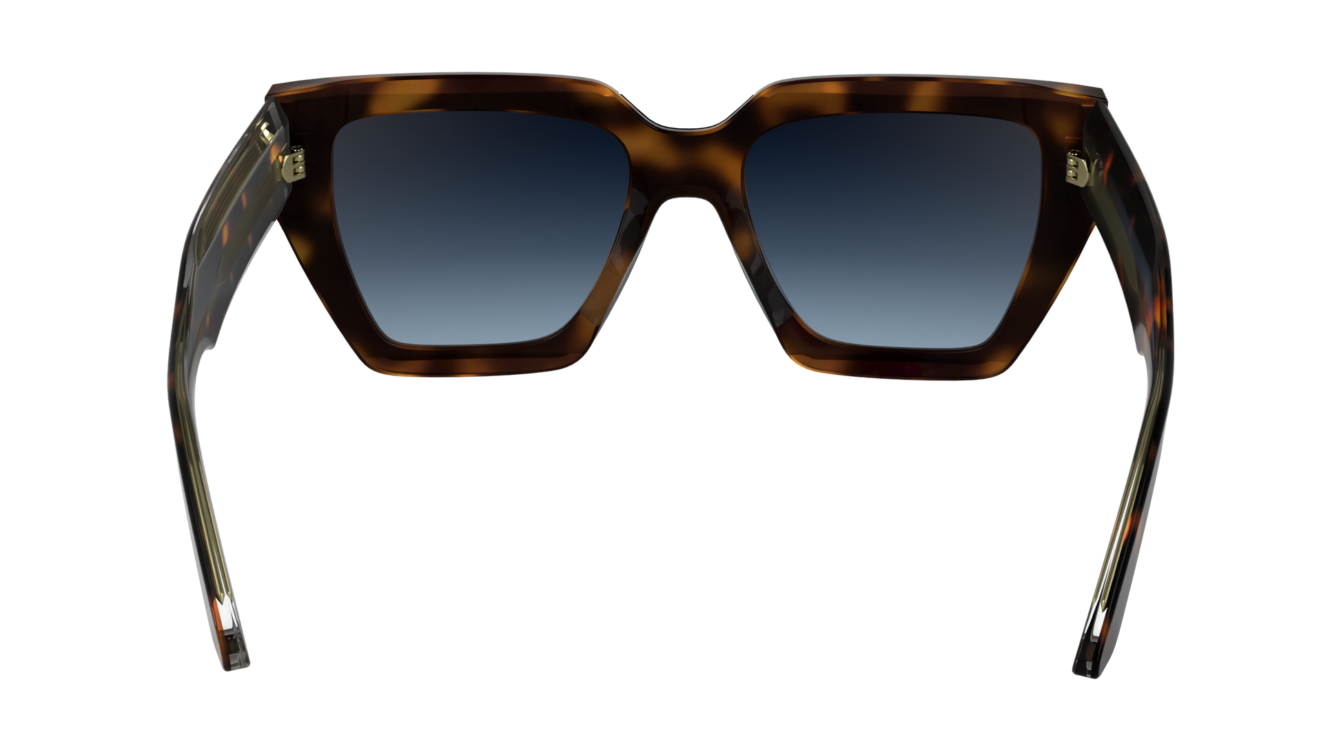 CALVIN KLEIN Sunglasses CK24533S 240 51