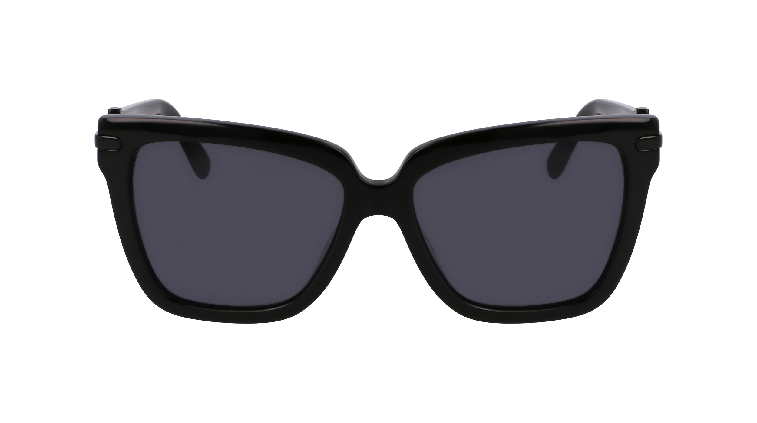 FERRAGAMO Sunglasses SF1085SN 1 57