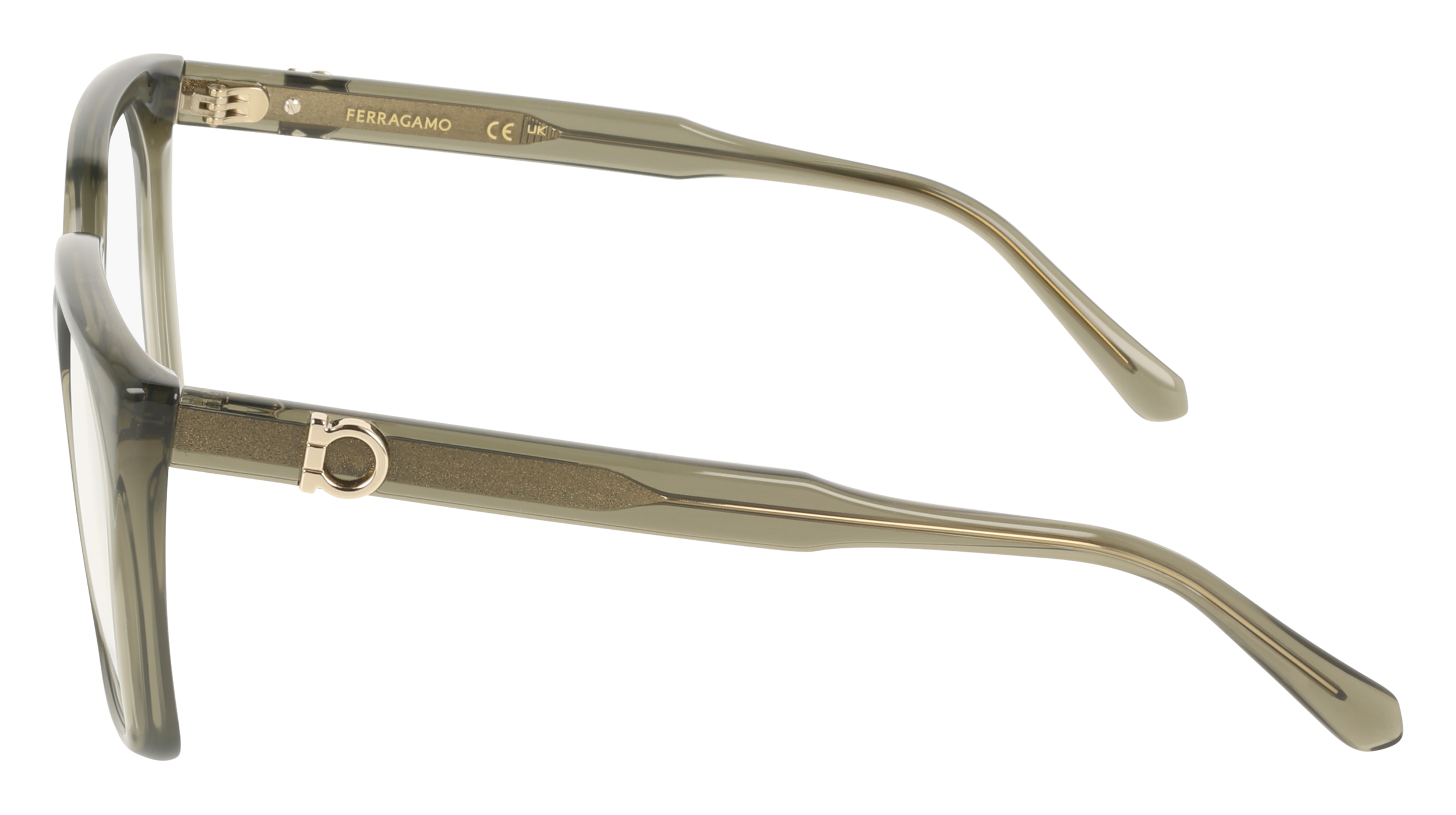 Ferragamo SF3042E 320