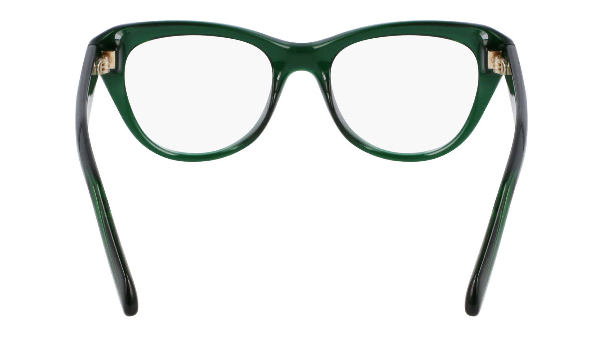 FERRAGAMO Eyeglasses SF2989E 317 51