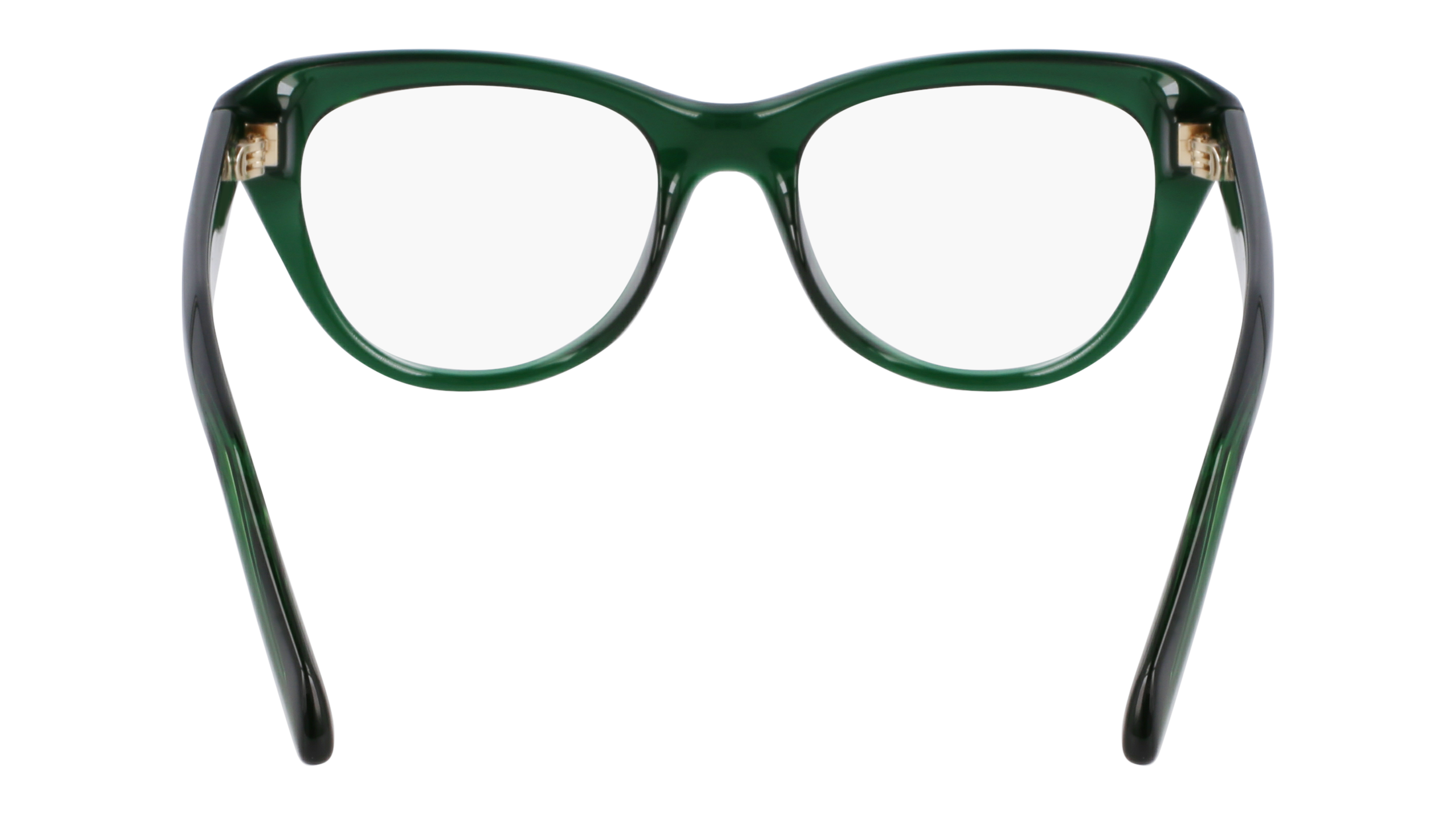 FERRAGAMO Eyeglasses SF2989E 317 51