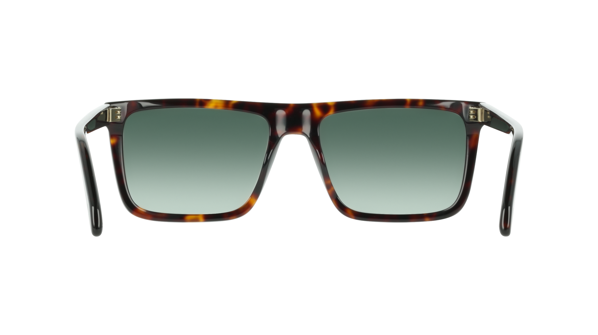 Ferragamo SF2123S 242