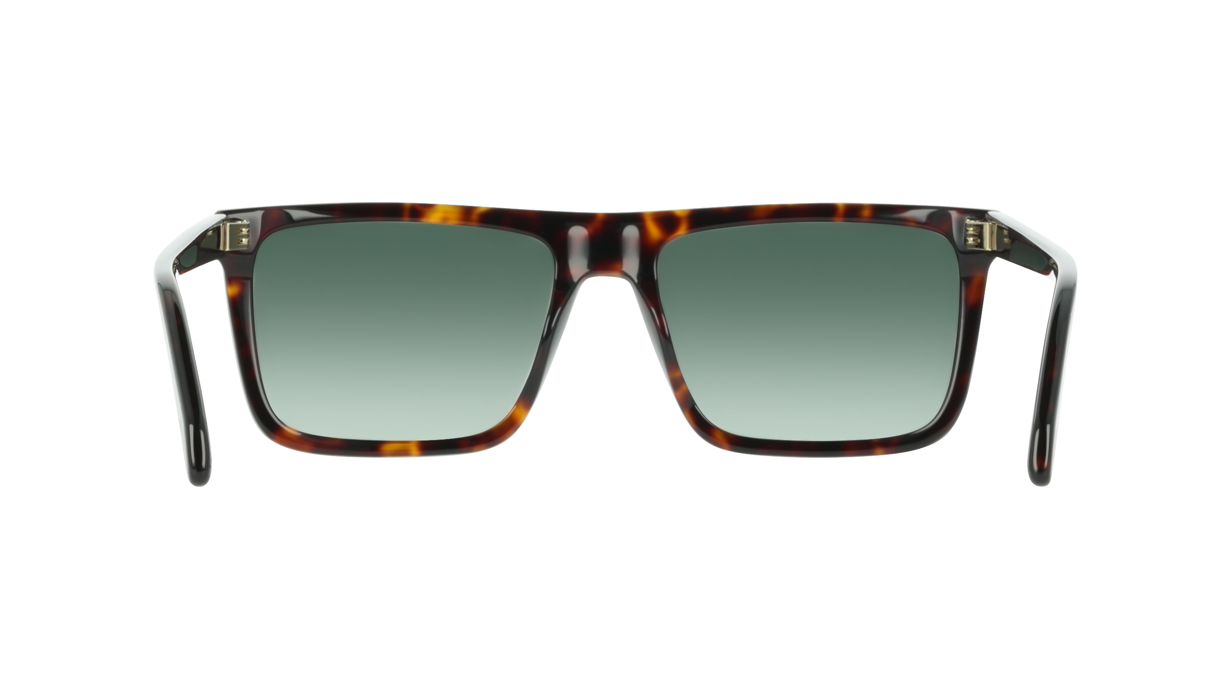 Ferragamo SF2123S 242