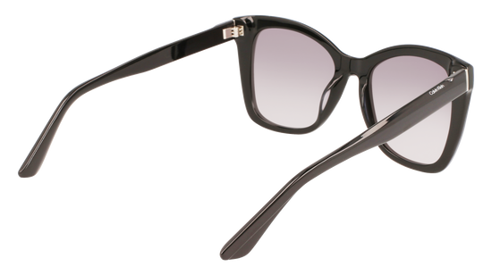 CALVIN KLEIN Sunglasses CK22530S 1 53