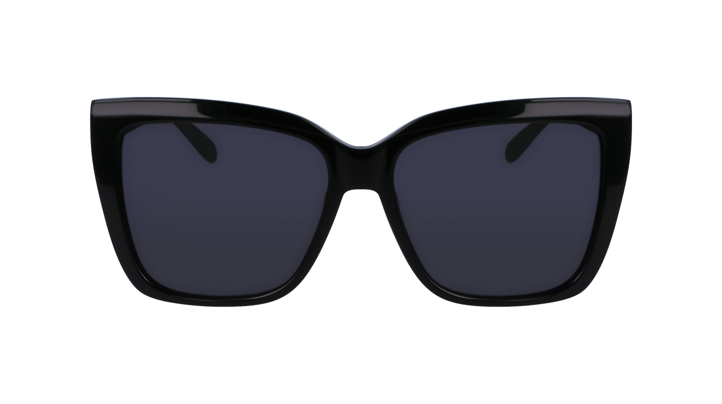 FERRAGAMO Sunglasses SF1102S 1 58