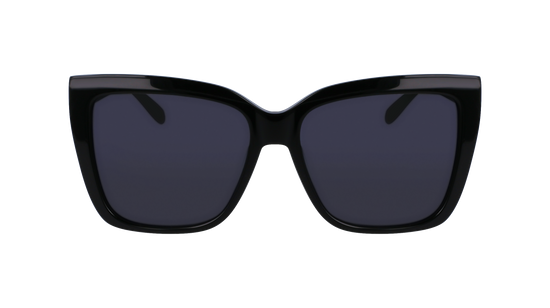 FERRAGAMO Sunglasses SF1102S 1 58