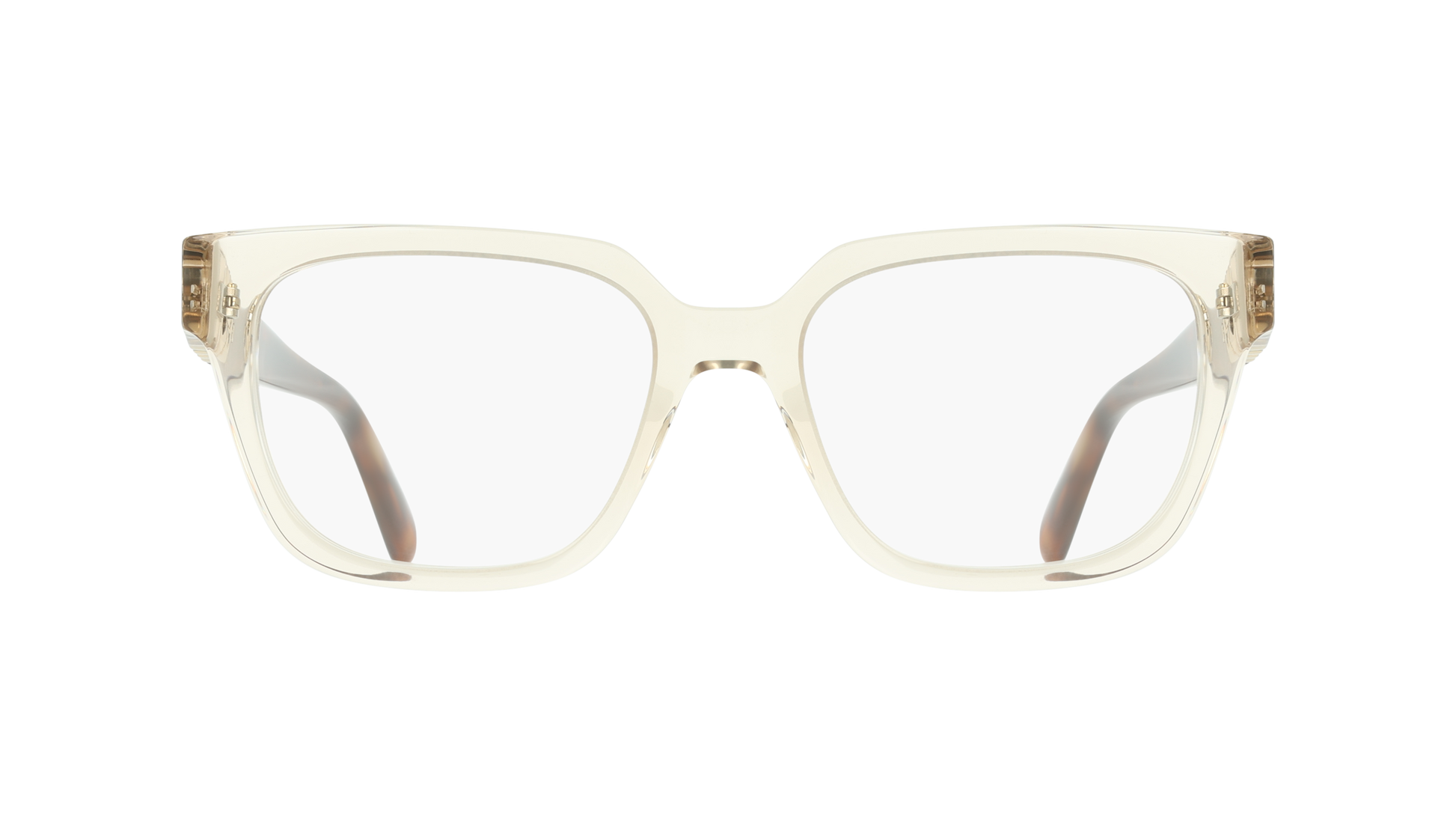 Ferragamo SF3056 259