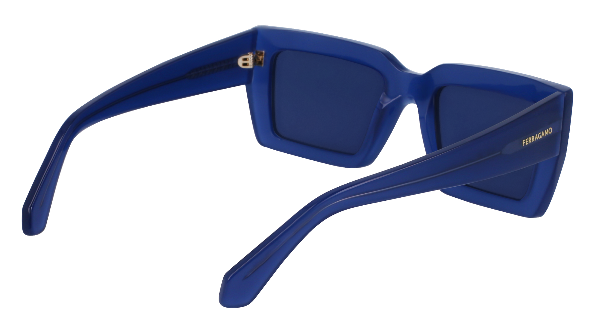 FERRAGAMO Sunglasses SF1108S 423 54