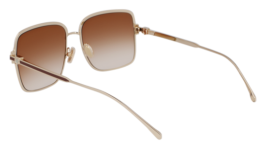 FERRAGAMO Sunglasses SF317S 704 57