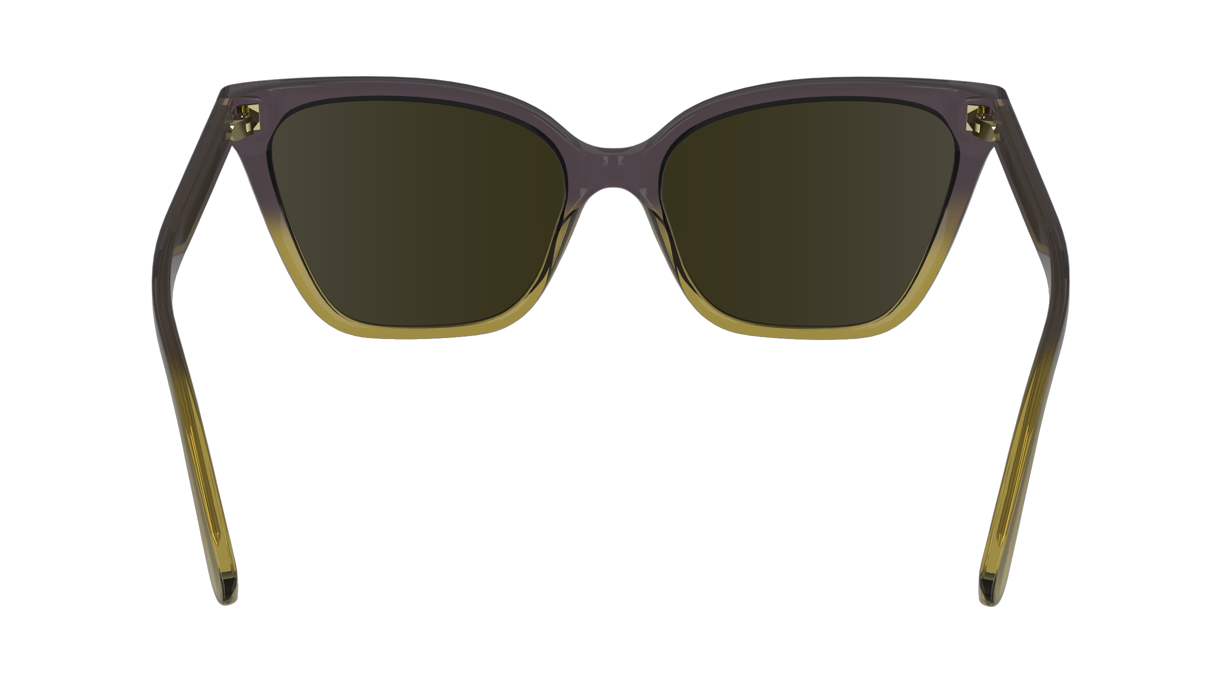 CALVIN KLEIN Sunglasses CK24507S 516 57