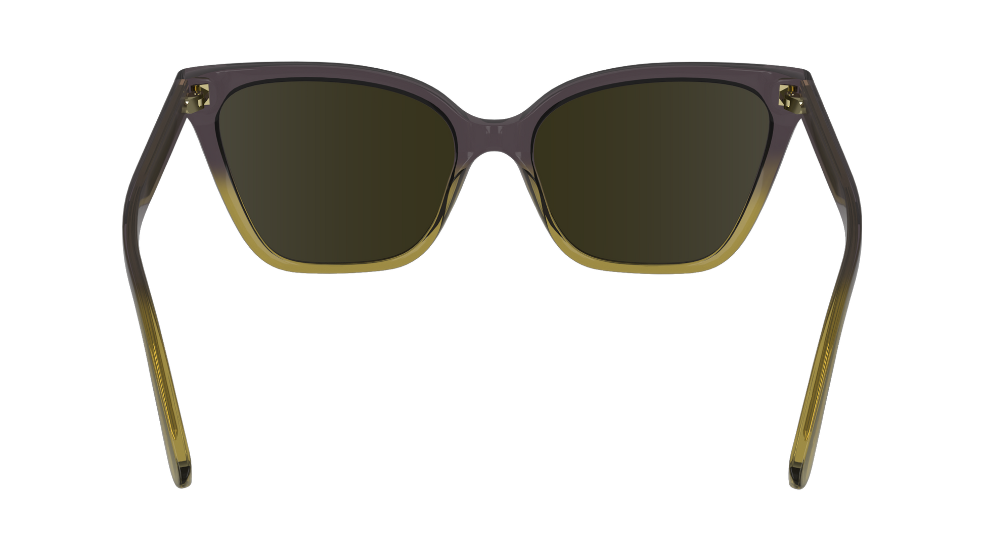 Calvin Klein CK24507SN 516