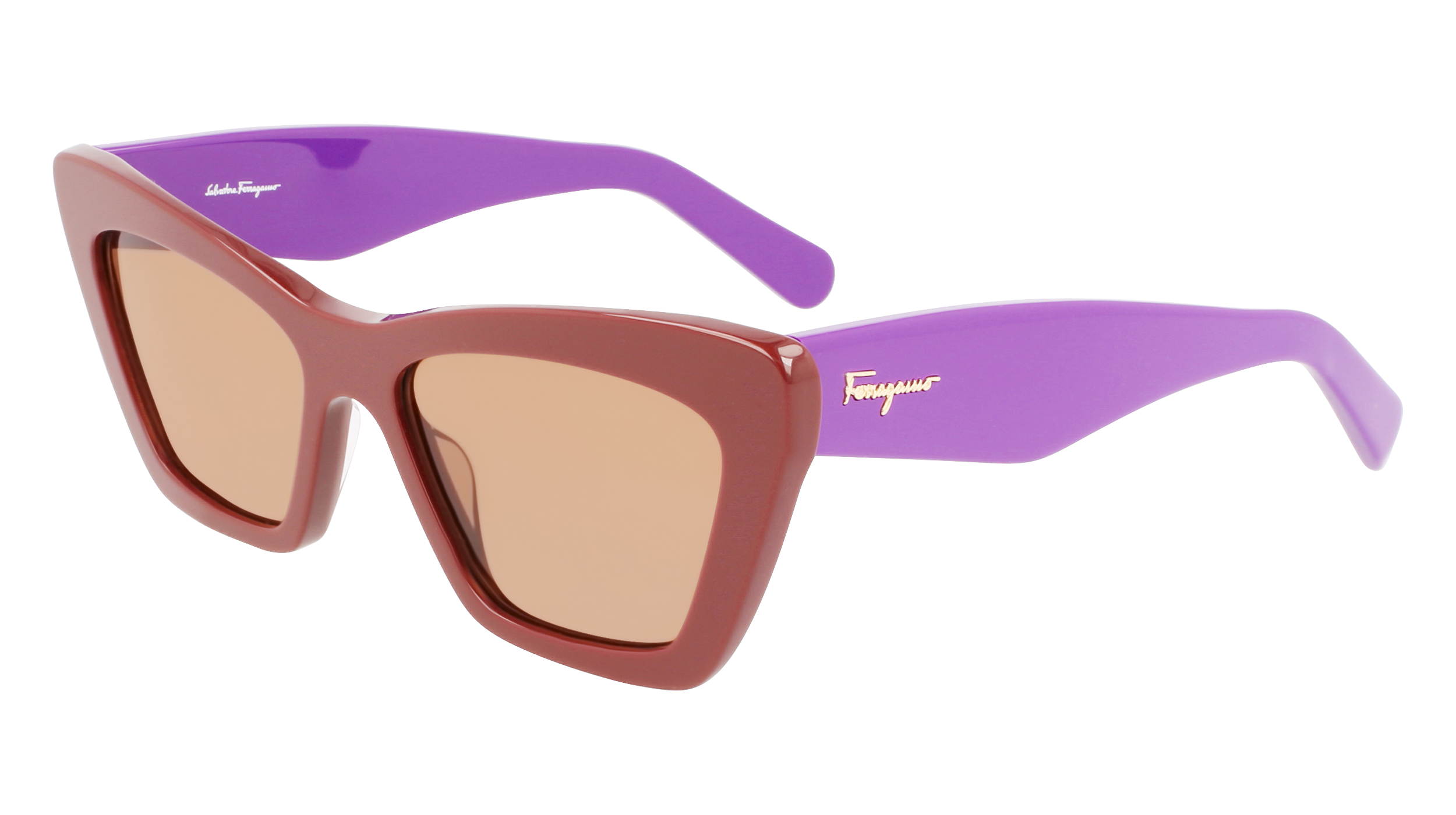 FERRAGAMO Sunglasses SF929S 209 55