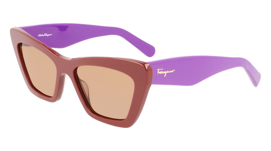 FERRAGAMO Sunglasses SF929S 209 55