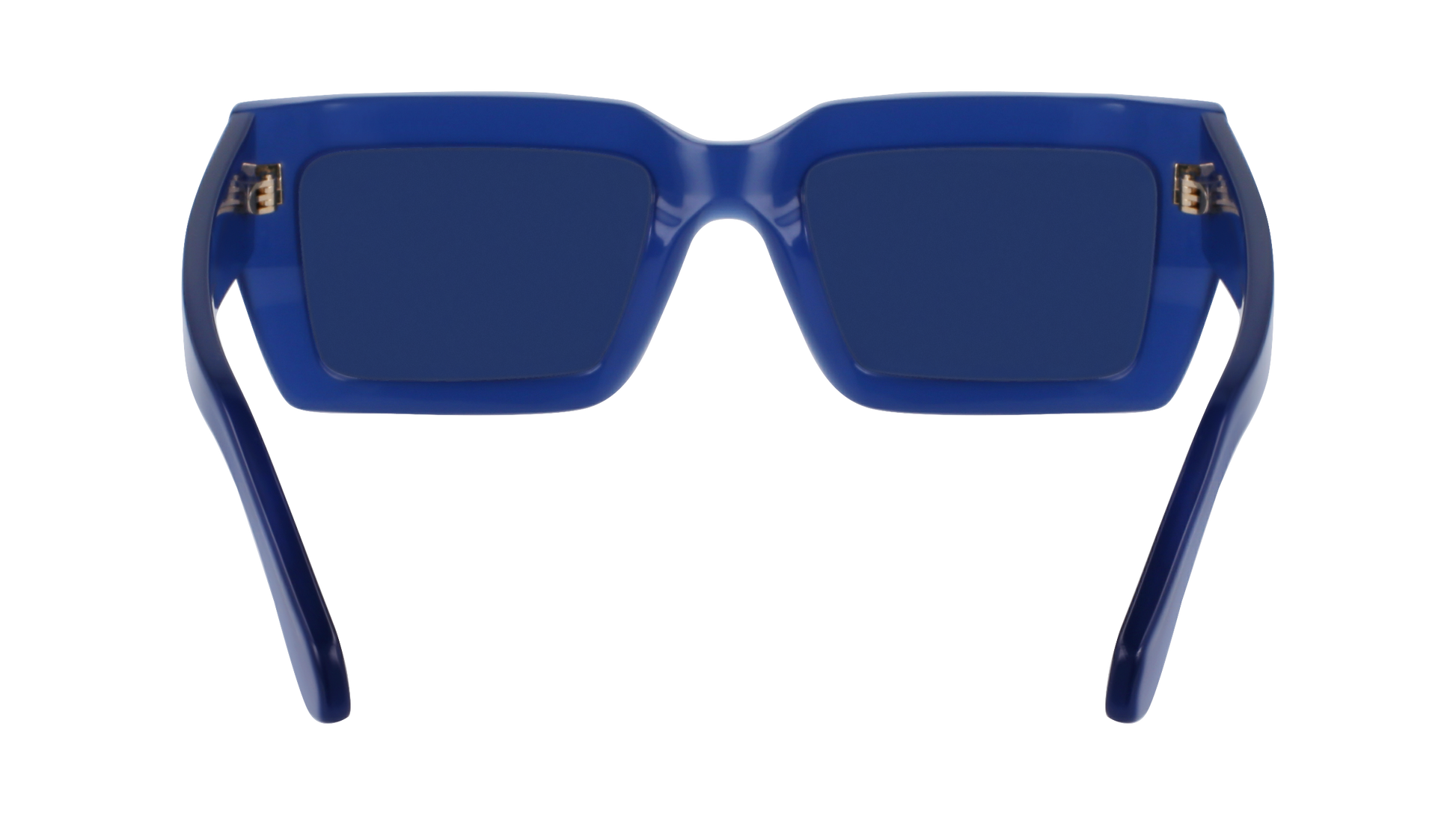 FERRAGAMO Sunglasses SF1108S 423 54