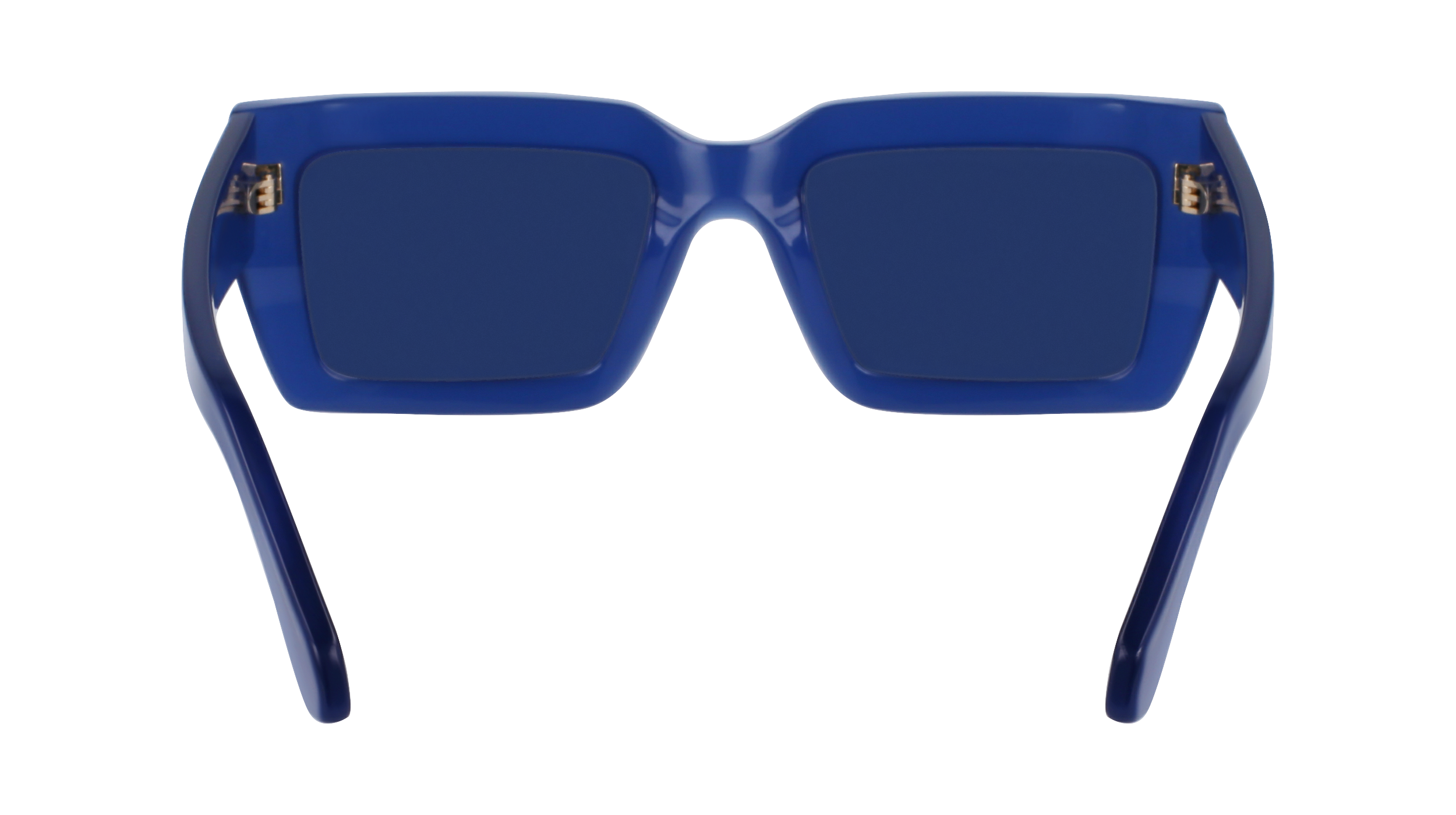 FERRAGAMO Sunglasses SF1108S 423 54