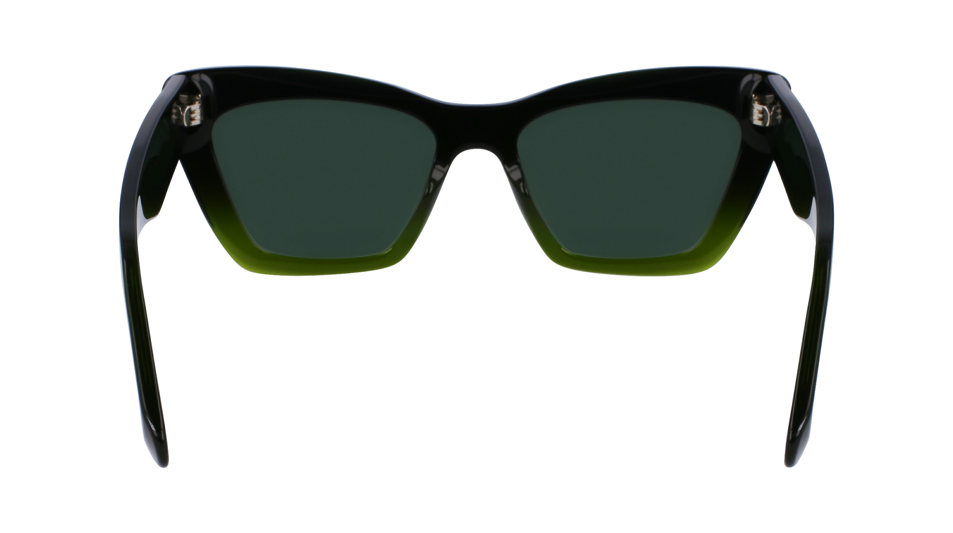 FERRAGAMO Sunglasses SF929SN 316 55