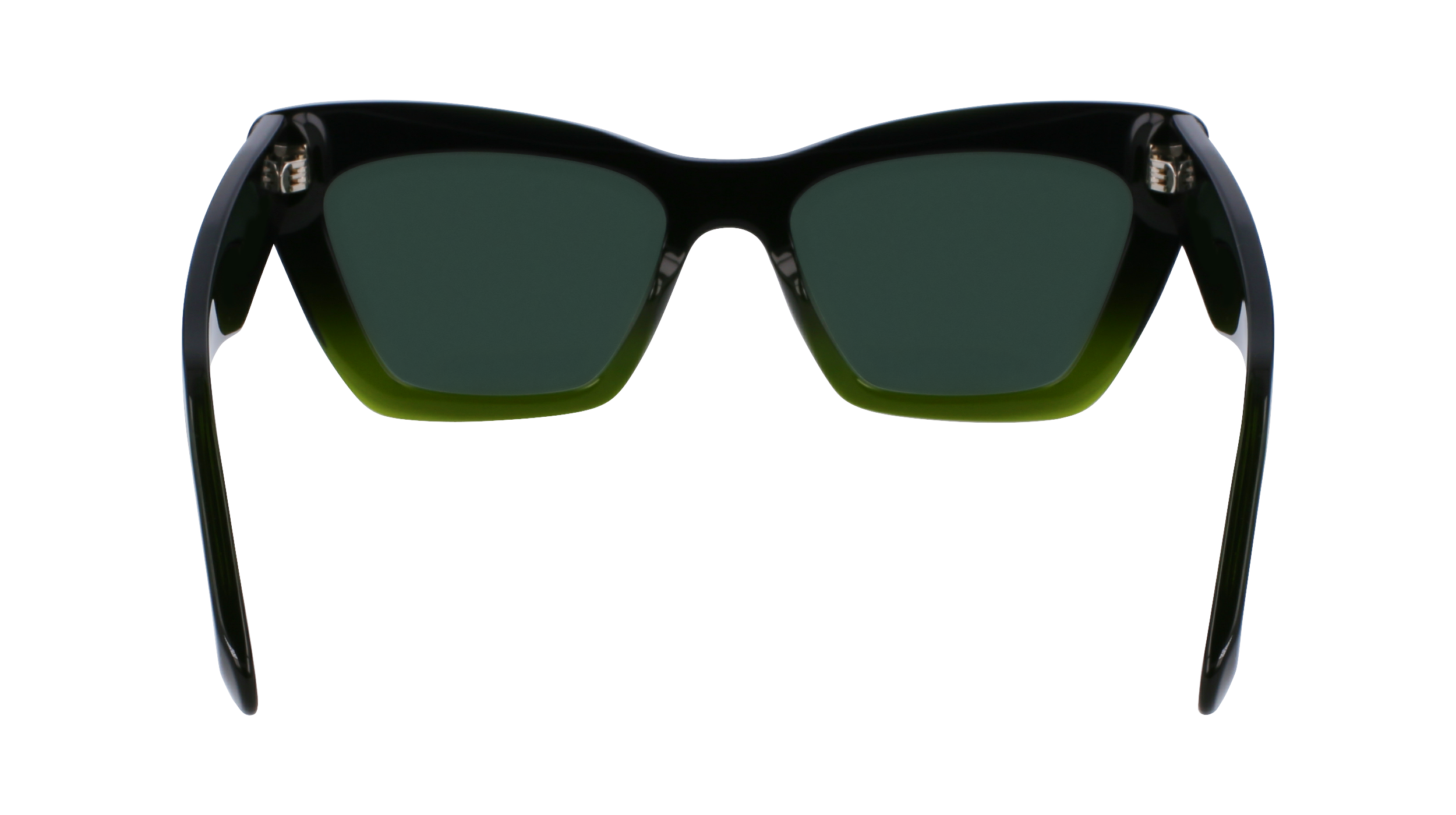 FERRAGAMO Sunglasses SF929SN 316 55