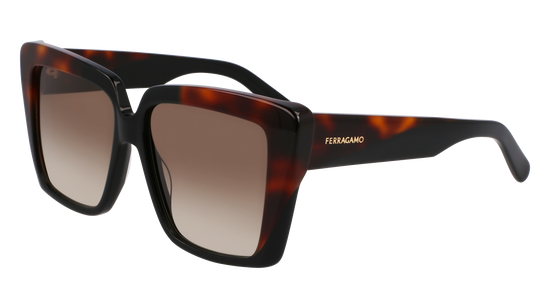 FERRAGAMO Sunglasses SF1060SN 6 55