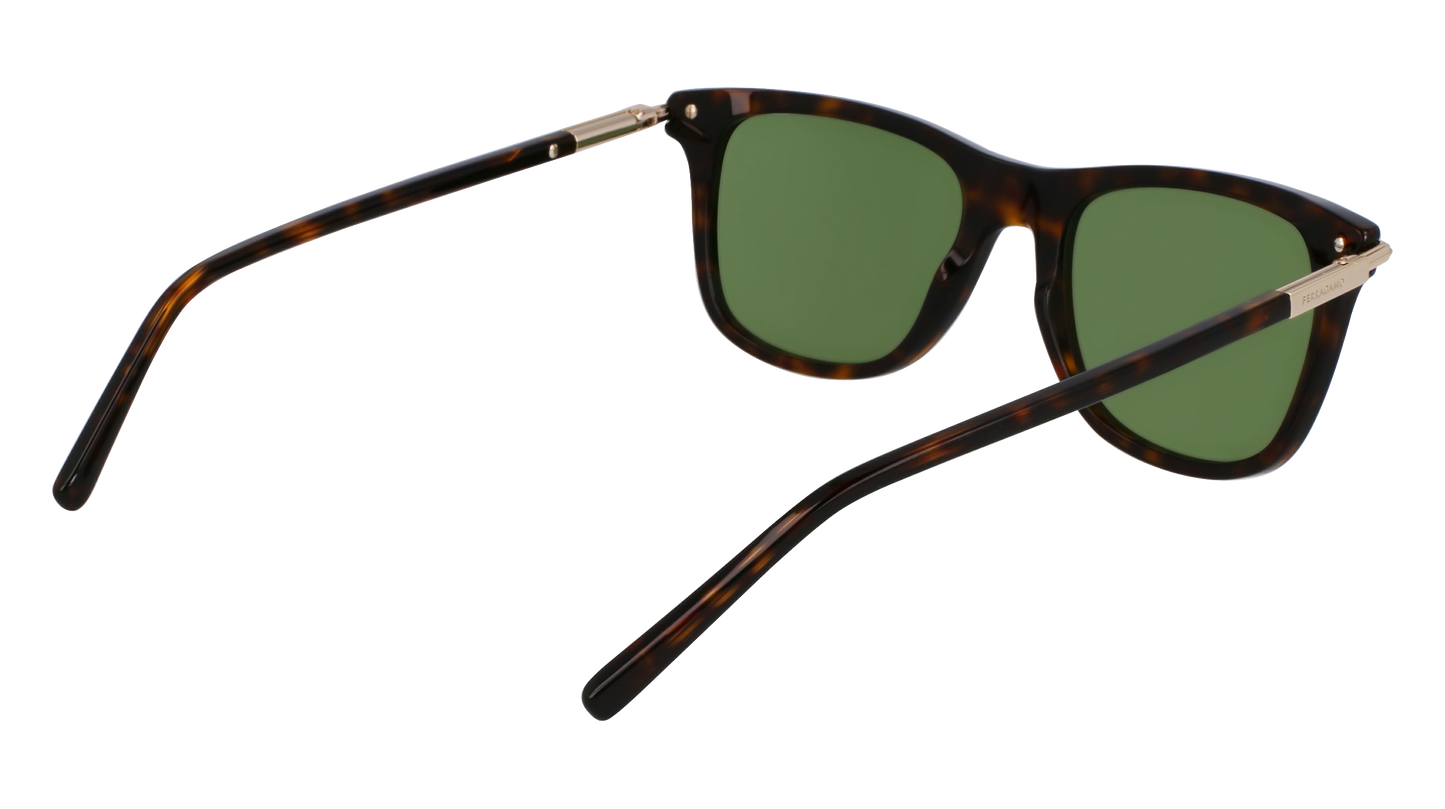 FERRAGAMO Sunglasses SF2028S 242 54