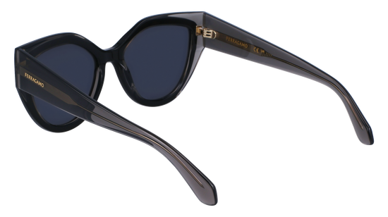 FERRAGAMO Sunglasses SF2004S 24 53