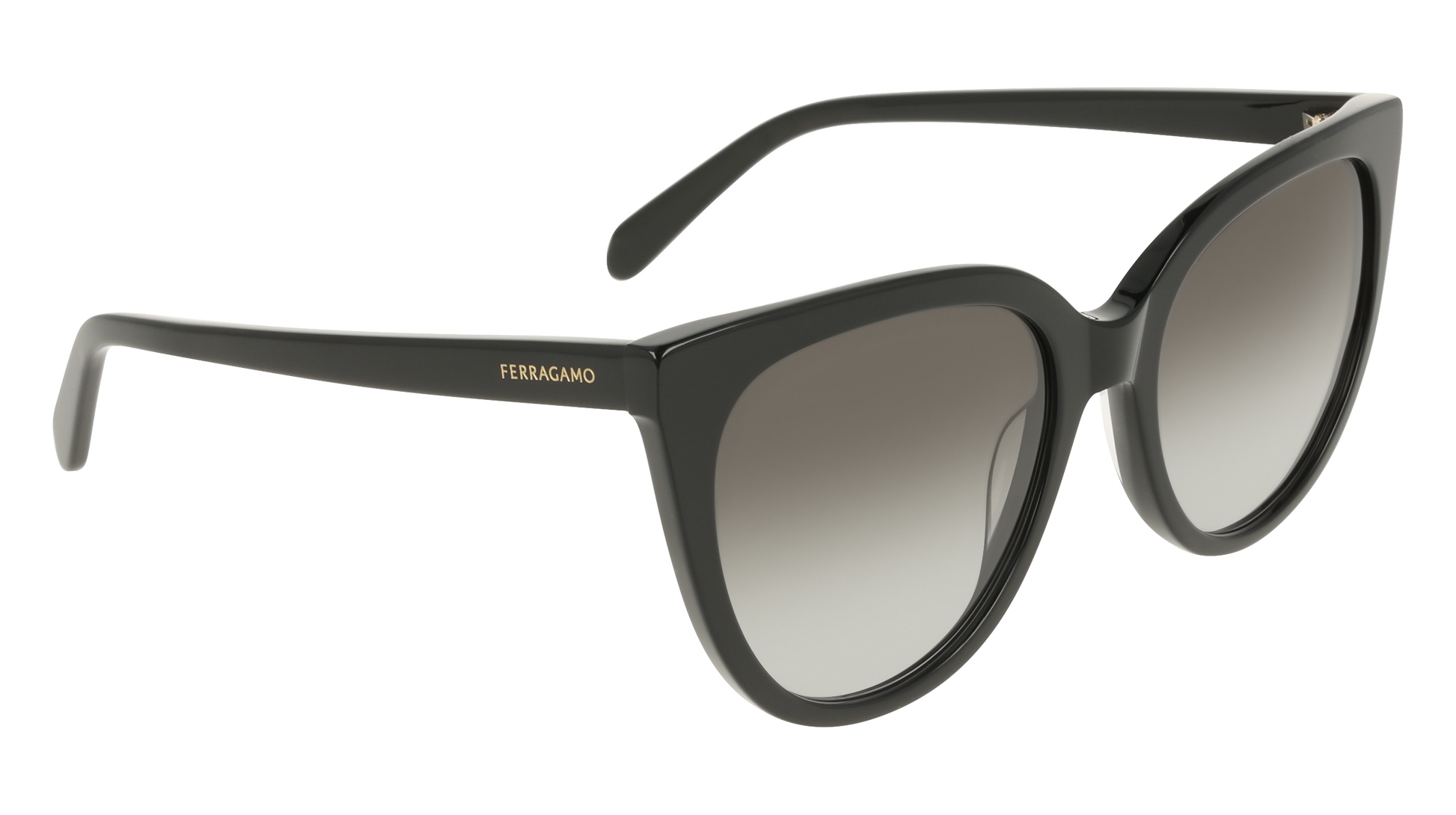 Ferragamo SF2101S 1