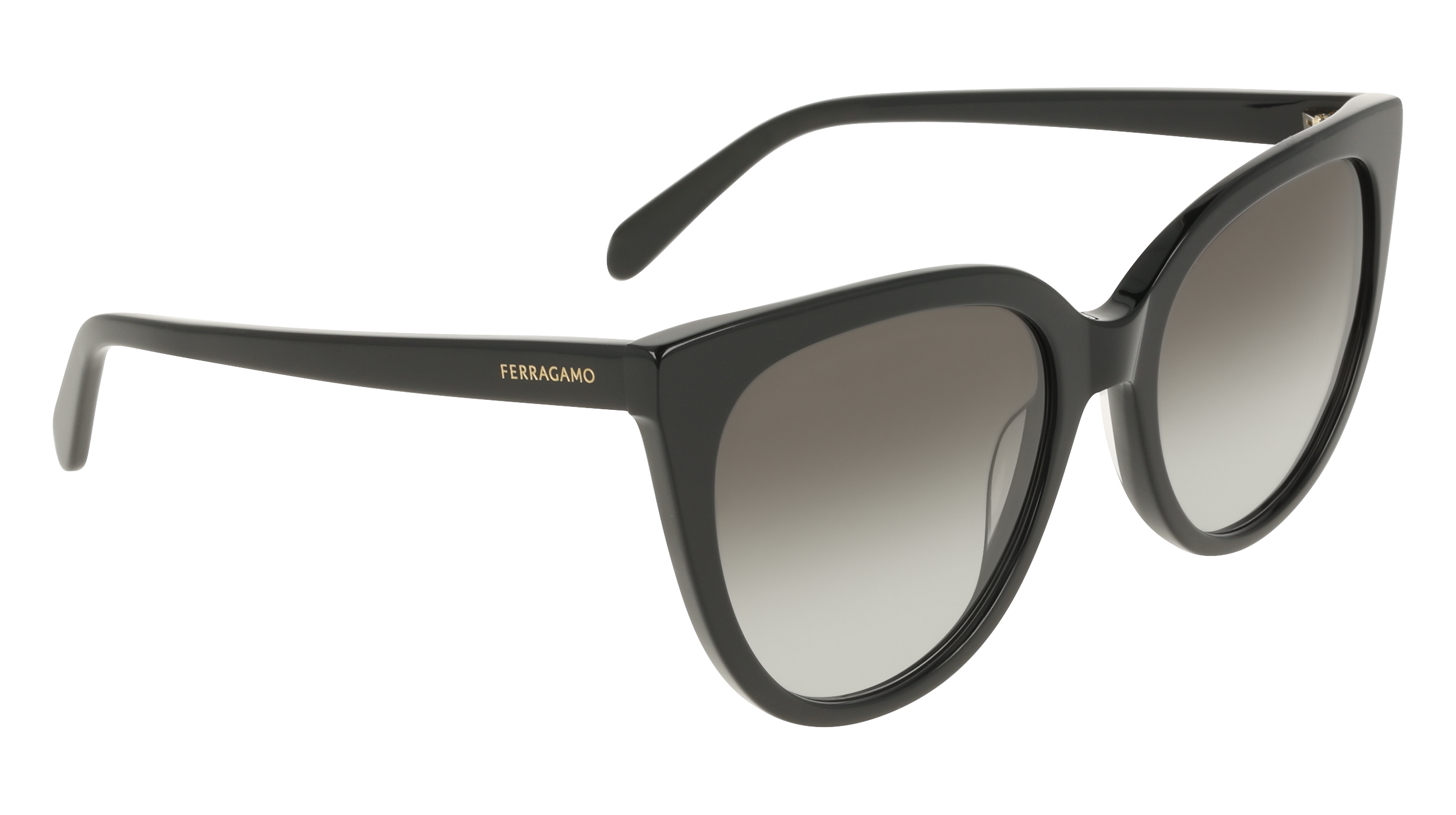 Ferragamo SF2101S 1