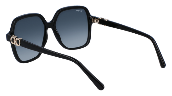 FERRAGAMO Sunglasses SF1083S 1 57