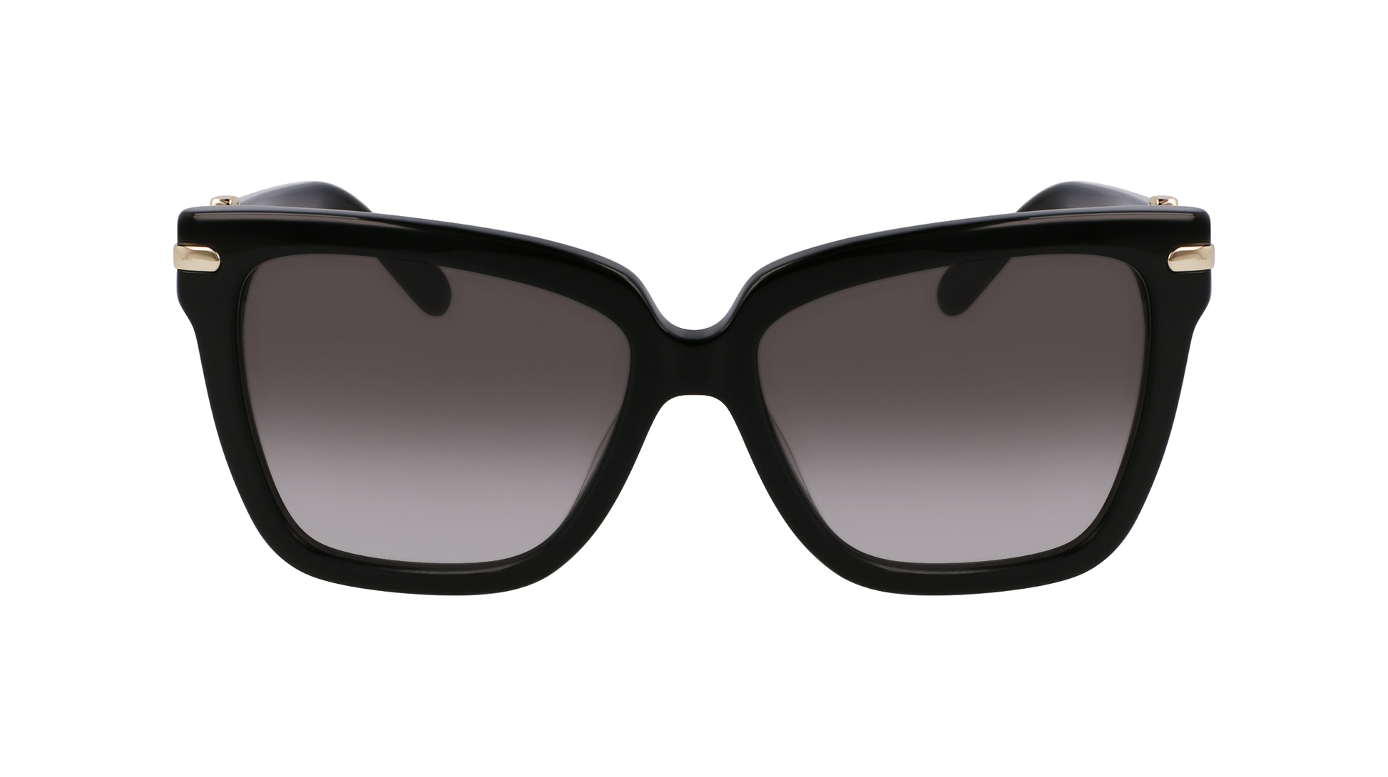 FERRAGAMO Sunglasses SF1085SN 11 57