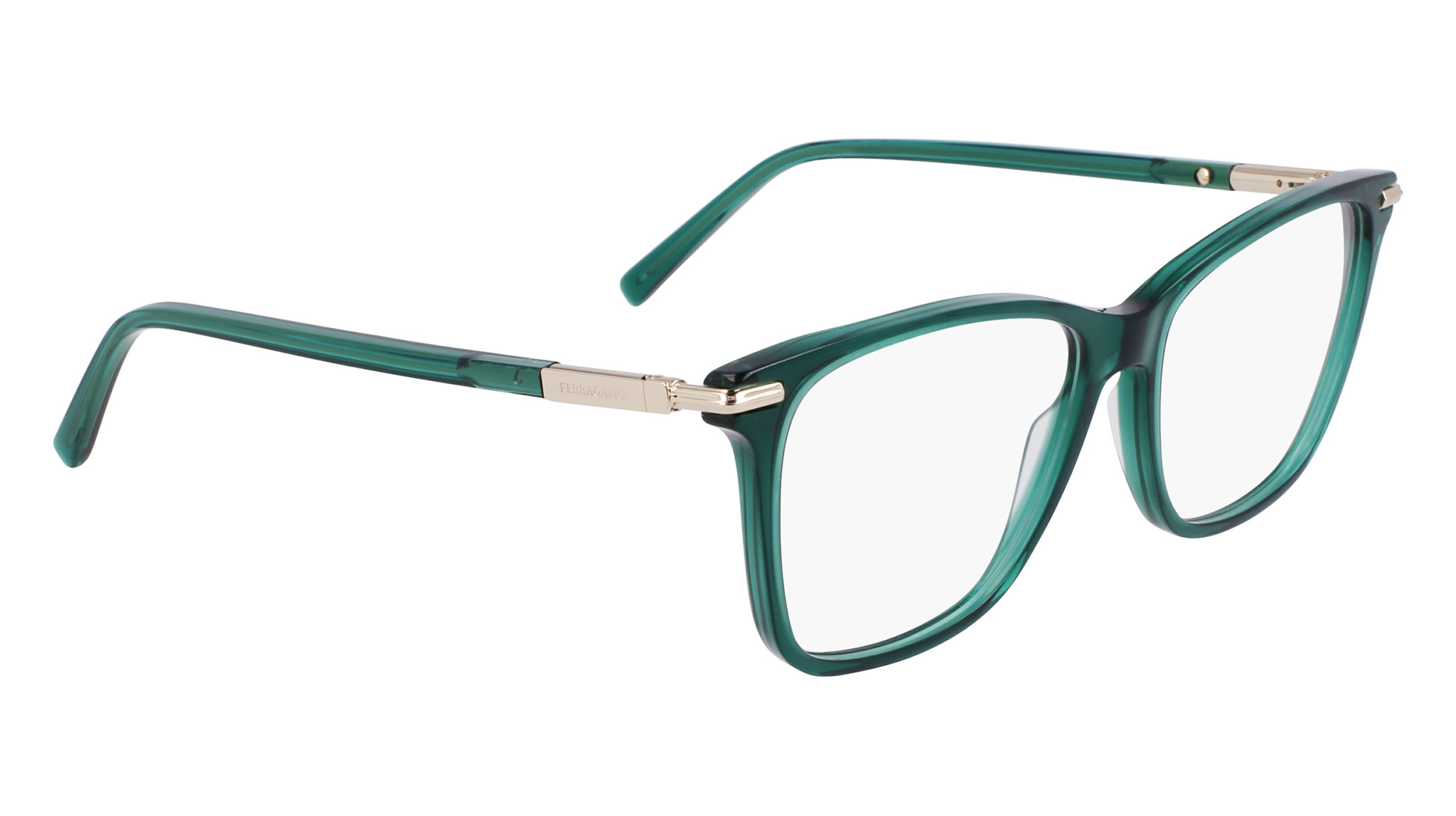 FERRAGAMO Eyeglasses SF3013 317 53