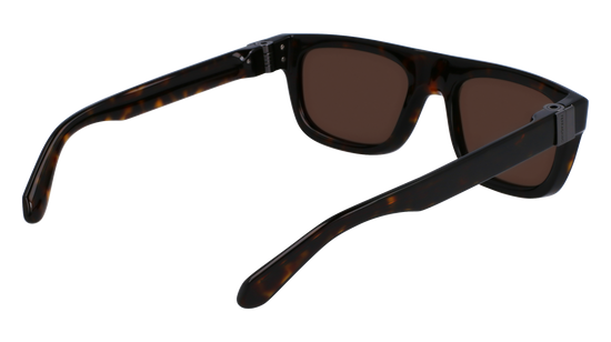 FERRAGAMO Sunglasses SF2009S 242 56