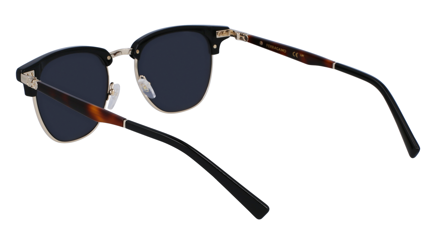 FERRAGAMO Sunglasses SF307S 11 53