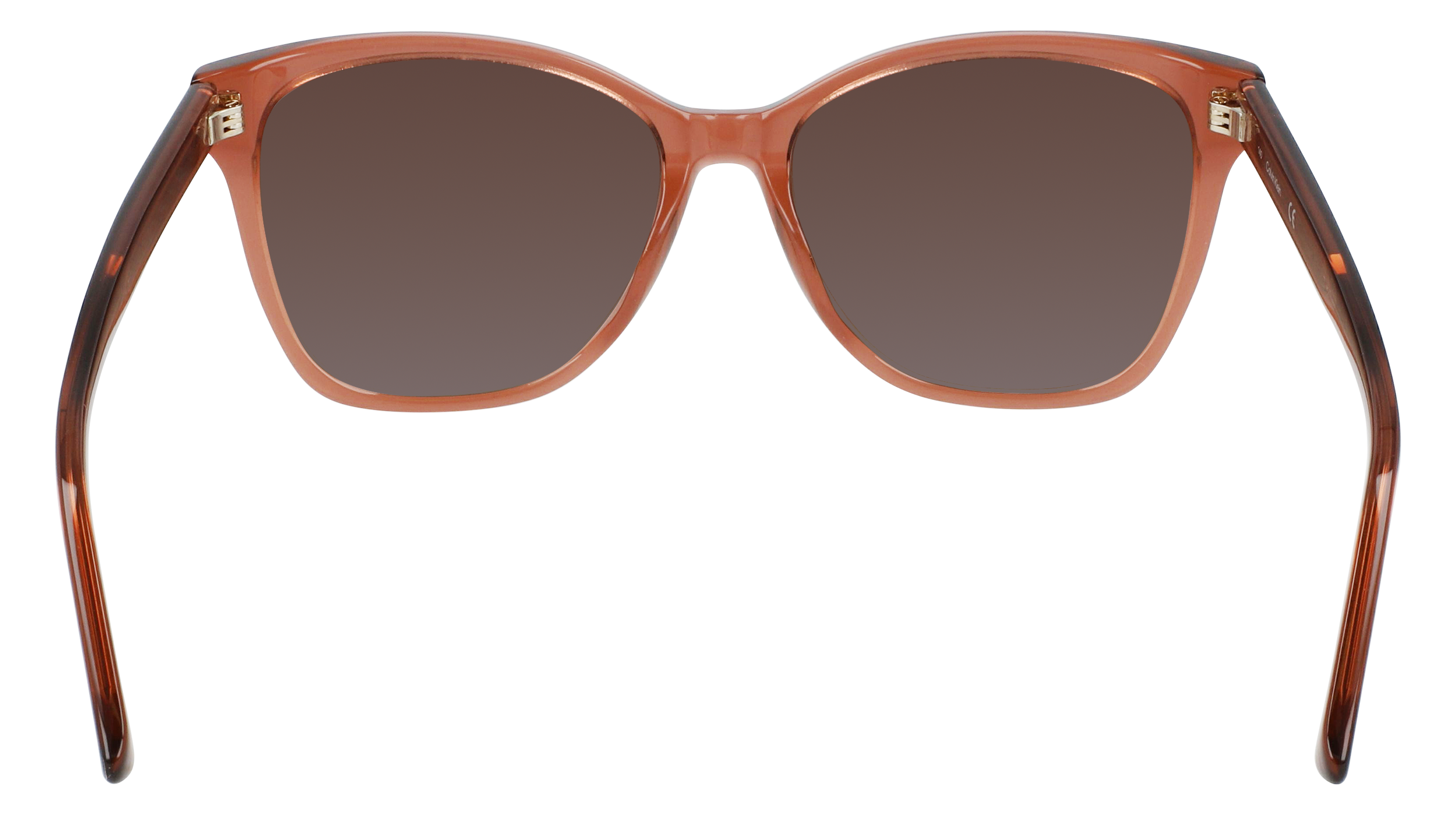 Calvin Klein CK21529S 601